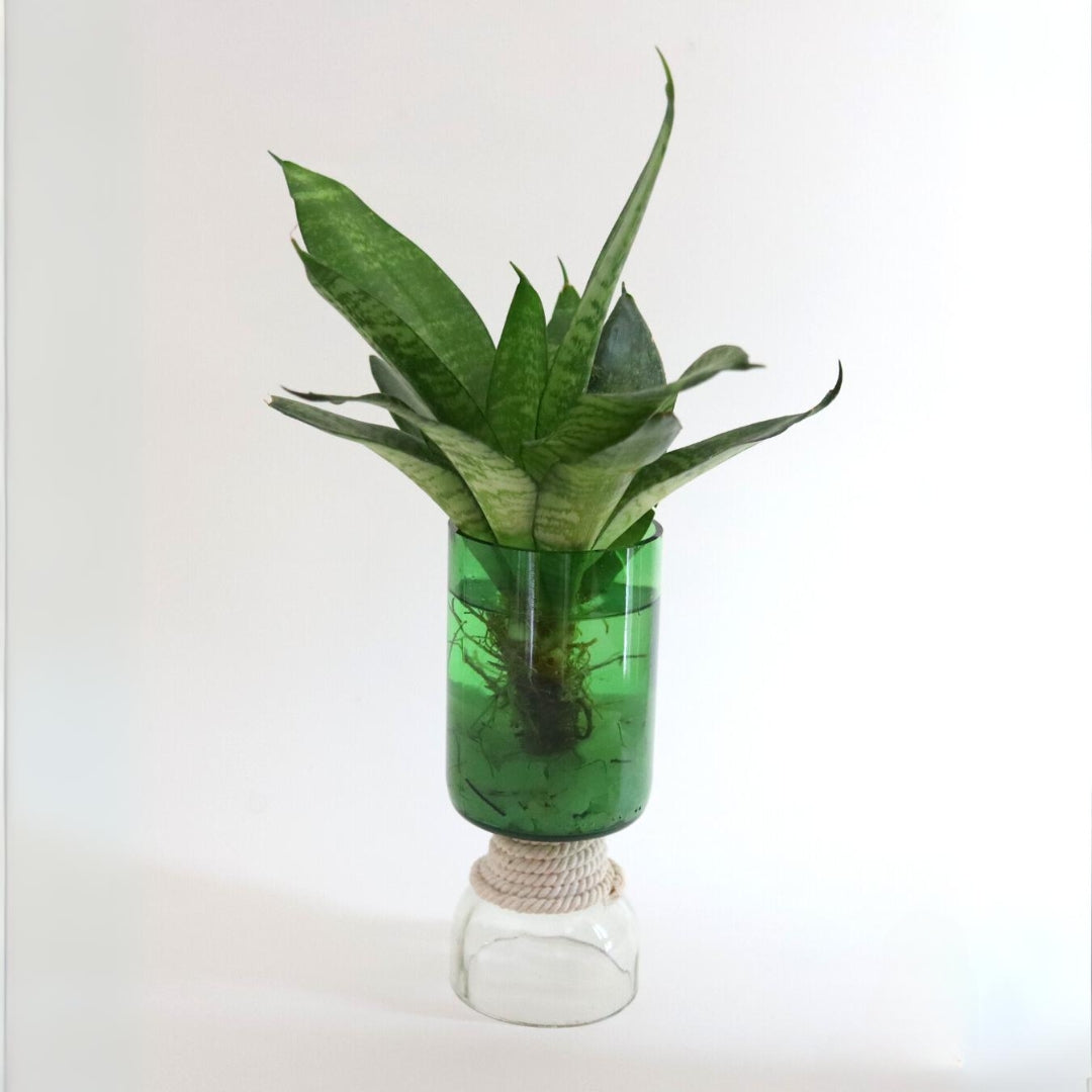 Upcycled Glass Bottle Planter