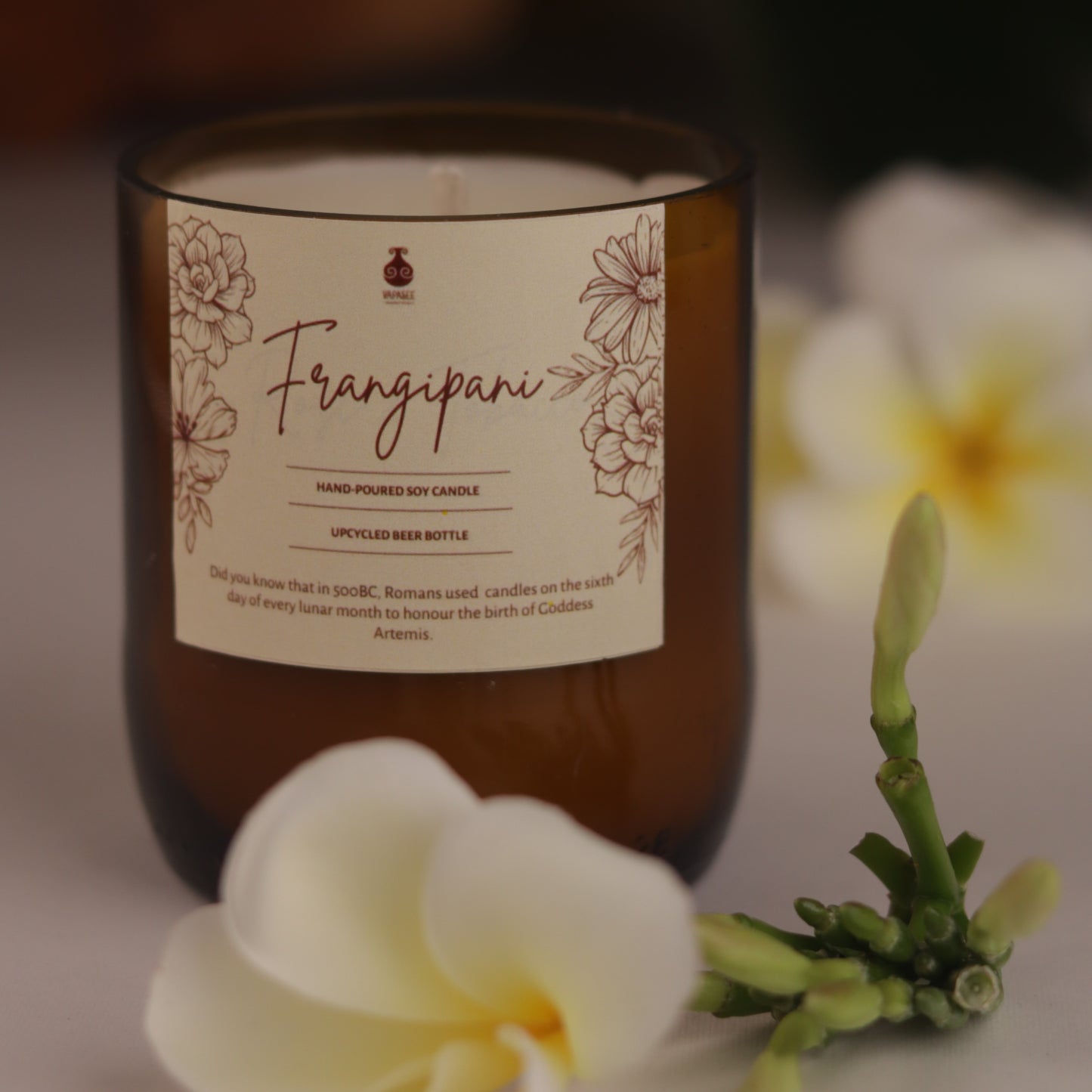 Upcycled Beer Bottle Frangipani Soy Candle