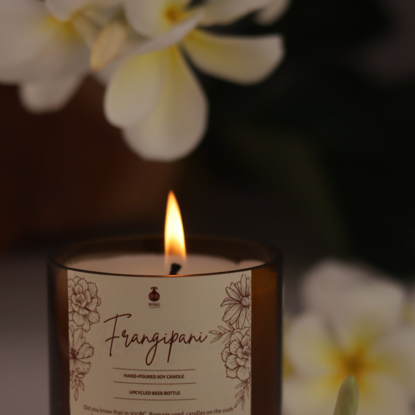 Upcycled Beer Bottle Frangipani Soy Candle